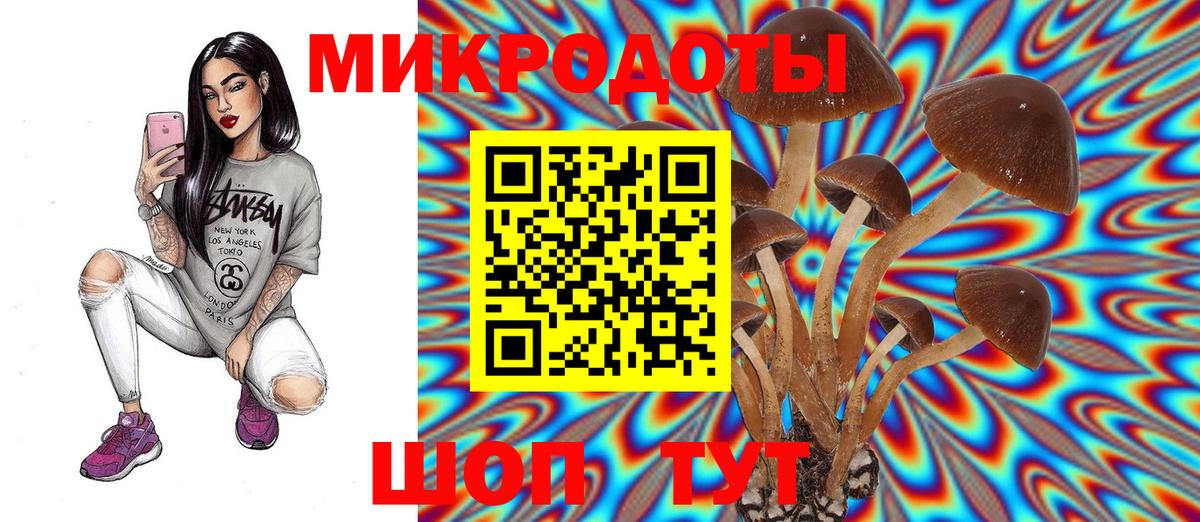 Псилоцибиновые грибы GOLDEN TEACHER  сколько стоит  Вход с VPN  Павлово  Галлюциногенные грибы ЛСД 